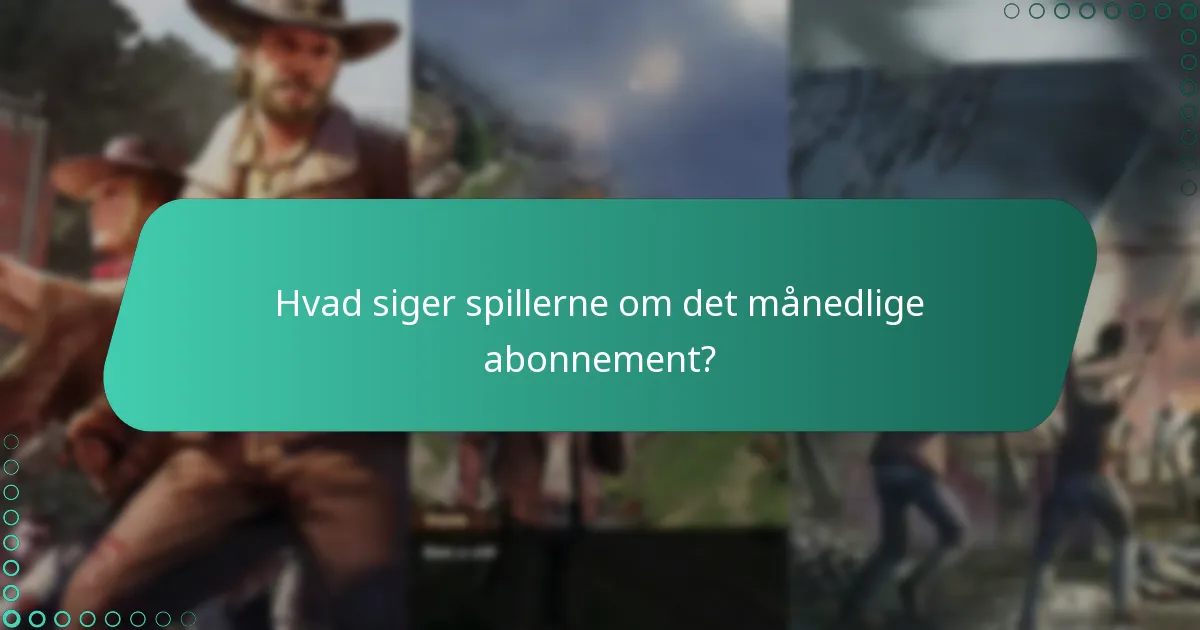 Hvad siger spillerne om det månedlige abonnement?