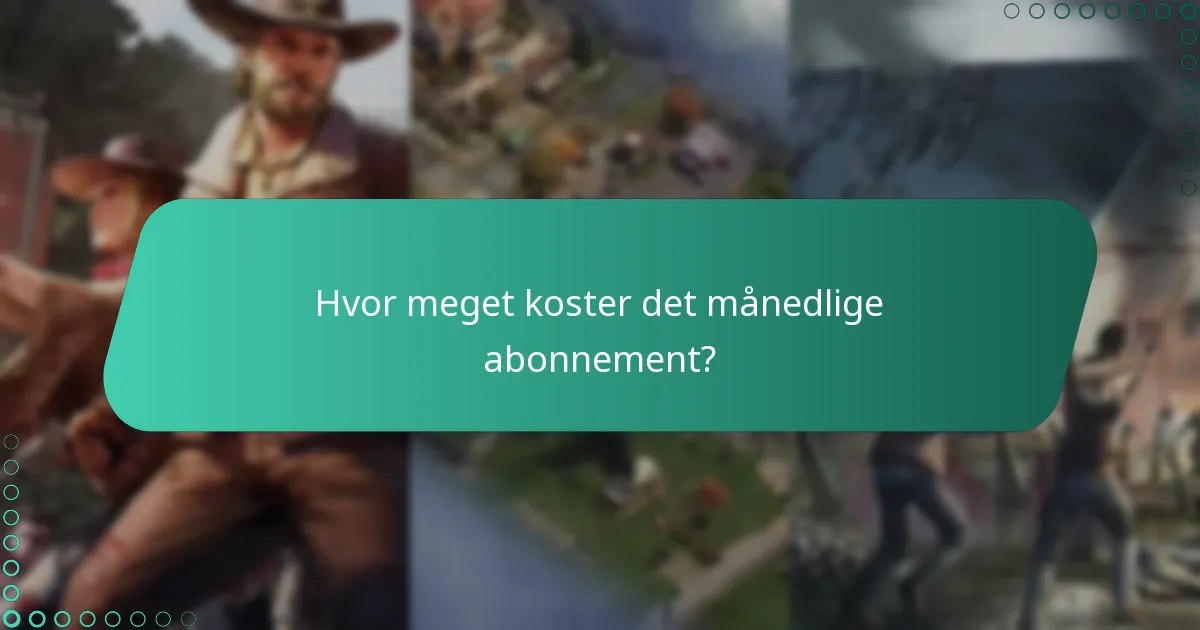 Hvad er alternativerne til det månedlige abonnement?
